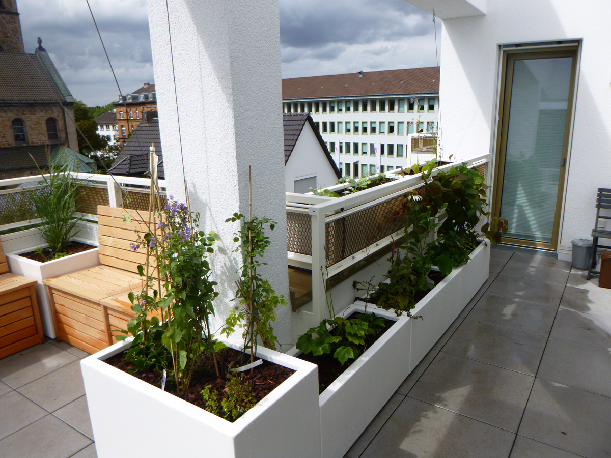 Dachgarten Scheel Gärten Leben Im Grünen